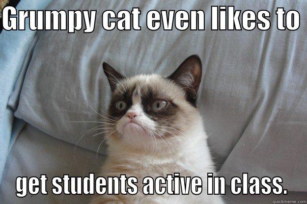 Grumpy cat  - GRUMPY CAT EVEN LIKES TO  GET STUDENTS ACTIVE IN CLASS. Grumpy Cat