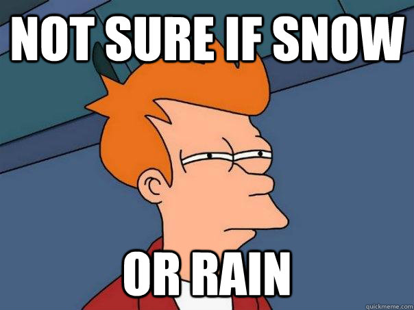 Not sure if snow or rain - Not sure if snow or rain  Futurama Fry