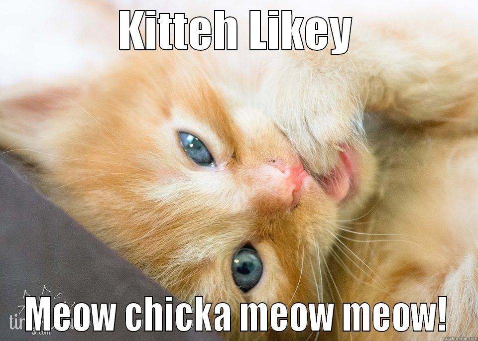 KITTEH LIKEY MEOW CHICKA MEOW MEOW! Misc