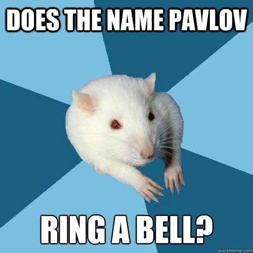 DOES THE NAME PAVLOV RING A BELL?  Psychology Major Rat