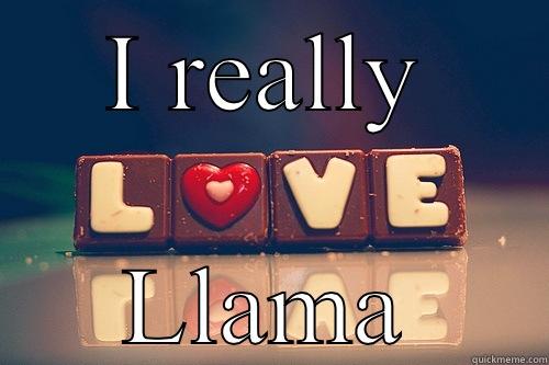 Love llama - I REALLY LLAMA Misc