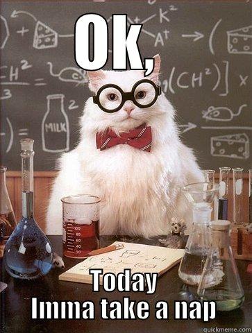 OK,  TODAY IMMA TAKE A NAP Chemistry Cat