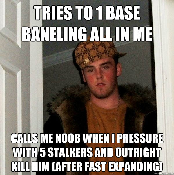 Tries to 1 base baneling all in me CALLS ME NOOB WHEN I PRESSURE WITH 5 STALKERS AND OUTRIGHT KILL HIM (AFTER FAST EXPANDING)  Scumbag Steve