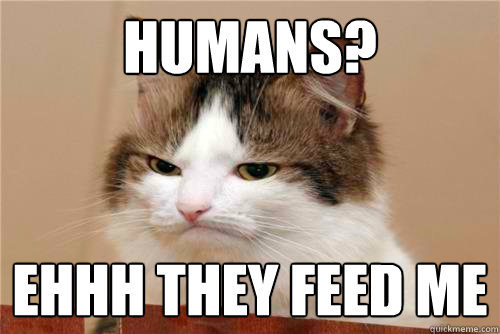 Humans? ehhh they feed me - Humans? ehhh they feed me  Indifferent Cat