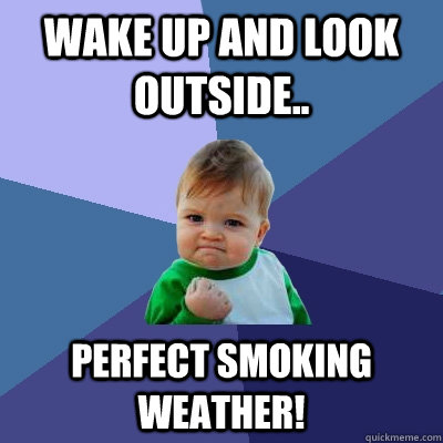 Wake up and look outside.. perfect smoking weather!  Success Kid