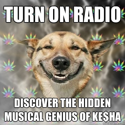 Turn on radio discover the hidden musical genius of Ke$ha  Stoner Dog