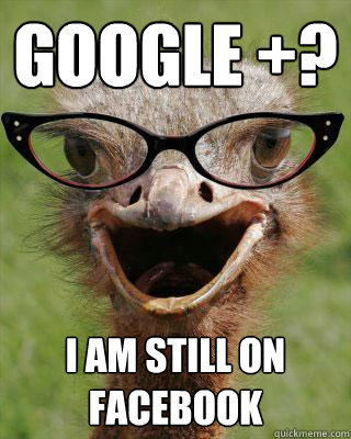 Google +? I am still on facebook   Judgmental Bookseller Ostrich