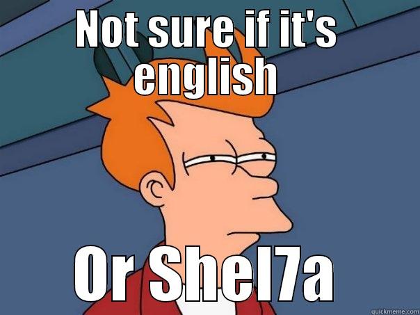 NOT SURE IF IT'S ENGLISH OR SHEL7A Futurama Fry