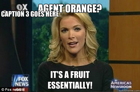 Agent Orange? It's a fruit
Essentially! Caption 3 goes here  Megyn Kelly