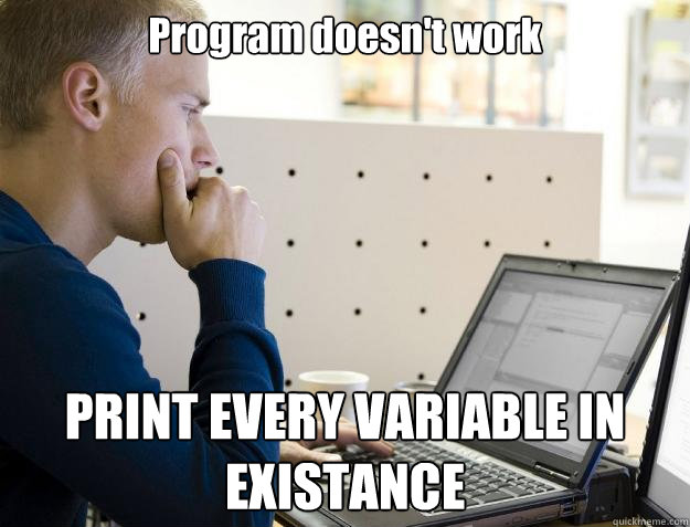 Program doesn't work PRINT EVERY VARIABLE IN EXISTANCE  Programmer