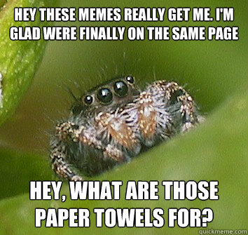 Hey these memes really get me. I'm glad were finally on the same page hey, What are those paper towels for?  Misunderstood Spider