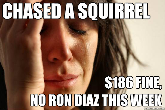 Chased a squirrel $186 fine, 
no ron diaz this week  First World Problems