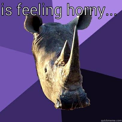 IS FEELING HORNY...   Sexually Oblivious Rhino