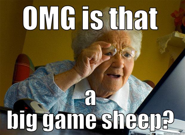 OMG IS THAT A BIG GAME SHEEP? Grandma finds the Internet