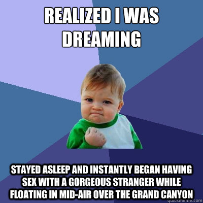 Realized I was dreaming Stayed asleep and instantly began having sex with a gorgeous stranger while floating in mid-air over the Grand Canyon  Success Kid