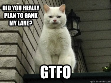 Did you really plan to gank my lane? gtfo  STFU Cat