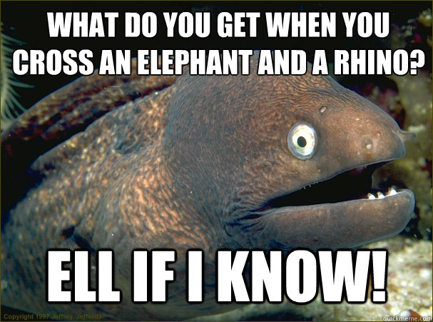 What do you get when you cross an elephant and a rhino?
 Ell if i know! - What do you get when you cross an elephant and a rhino?
 Ell if i know!  Bad Joke Eel