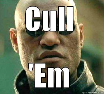 Cull 'Em - CULL 'EM Matrix Morpheus