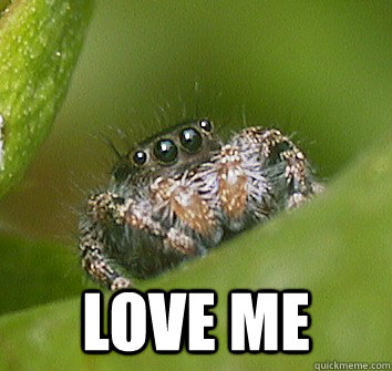  LOVE ME -  LOVE ME  Misunderstood Spider