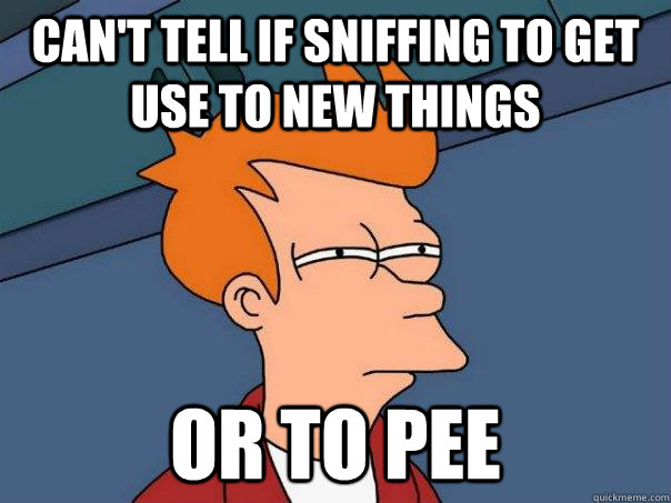 Can't tell if sniffing to get use to new things Or to pee  Futurama Fry