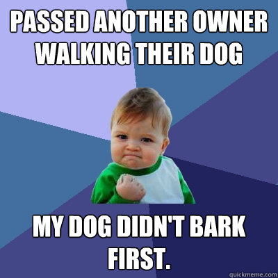 Passed another owner walking their dog  My dog didn't bark first. - Passed another owner walking their dog  My dog didn't bark first.  Success Kid