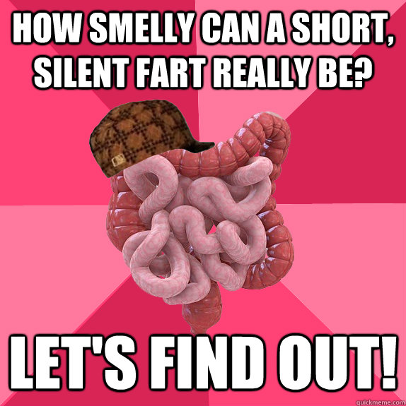 How smelly can a short, silent fart really be? Let's find out!  Scumbag Intestines