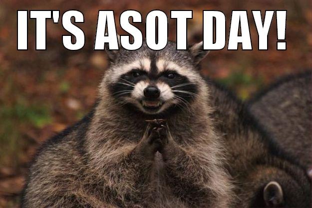 It's thursday! - IT'S ASOT DAY!  Evil Plotting Raccoon