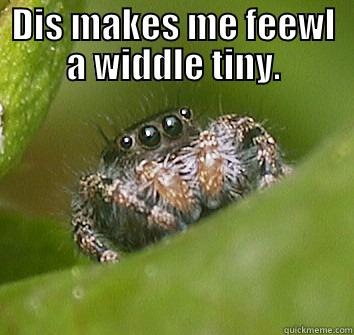 DIS MAKES ME FEEWL A WIDDLE TINY.  Misunderstood Spider