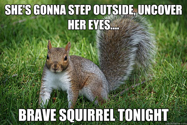 She's gonna step outside, uncover her eyes.... Brave squirrel tonight Caption 3 goes here  Adele