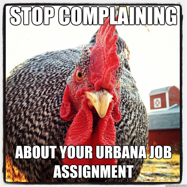 Stop complaining about your urbana job assignment  Authoritarian Rooster