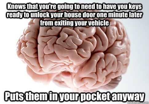 Knows that you're going to need to have you keys ready to unlock your house door one minute later from exiting your vehicle Puts them in your pocket anyway   Scumbag Brain