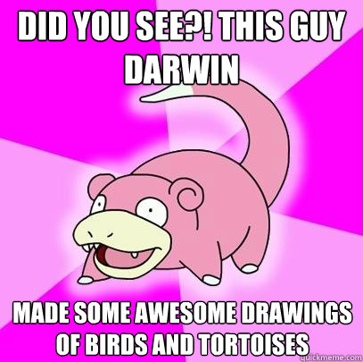 Did You see?! This guy Darwin made some awesome drawings of birds and tortoises  Slowpoke