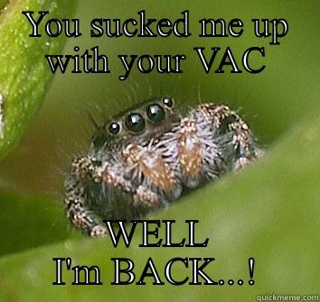 YOU SUCKED ME UP WITH YOUR VAC WELL I'M BACK...! Misunderstood Spider