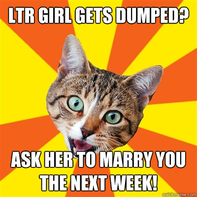 LTR girl gets dumped? Ask her to marry you the next week!  Bad Advice Cat