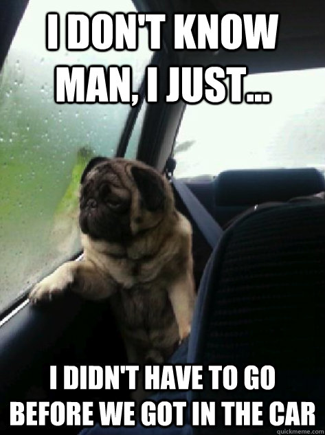 I don't know man, I just... I didn't have to go before we got in the car  Introspective Pug