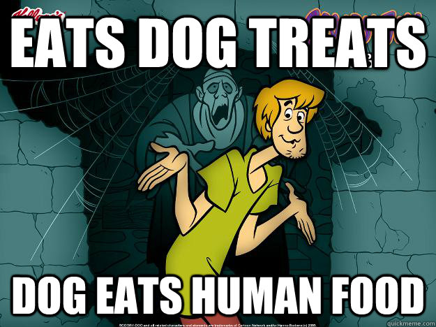 Eats dog treats Dog Eats human food - Eats dog treats Dog Eats human food  Irrational Shaggy