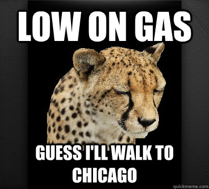 low on gas guess i'll walk to chicago  Defeated Cheetah