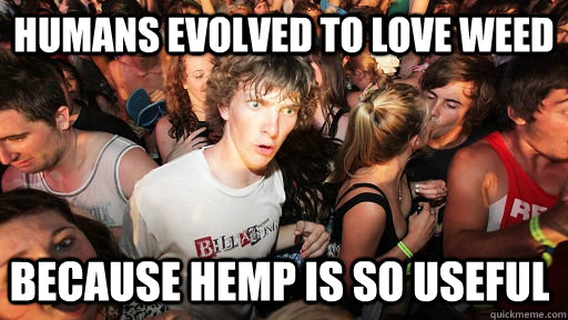 humans evolved to love weed because hemp is so useful  Sudden Clarity Clarence