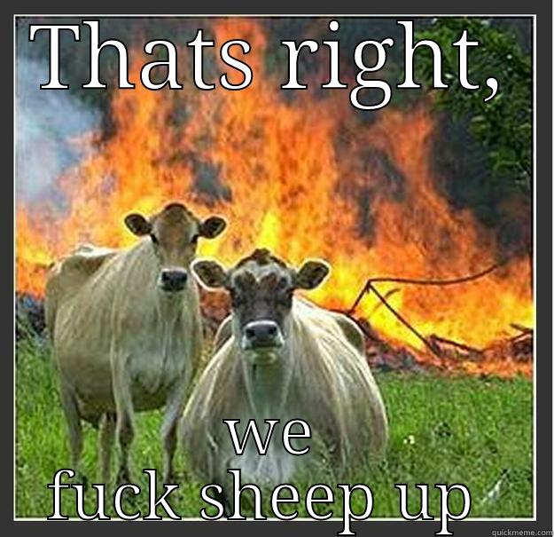 THATS RIGHT, WE FUCK SHEEP UP  Evil cows