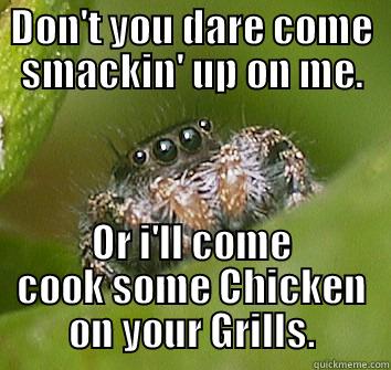 Ghetto Spider - DON'T YOU DARE COME SMACKIN' UP ON ME. OR I'LL COME COOK SOME CHICKEN ON YOUR GRILLS. Misunderstood Spider