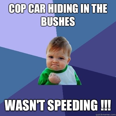 COP CAR HIDING IN THE BUSHES WASN'T SPEEDING !!!  Success Kid