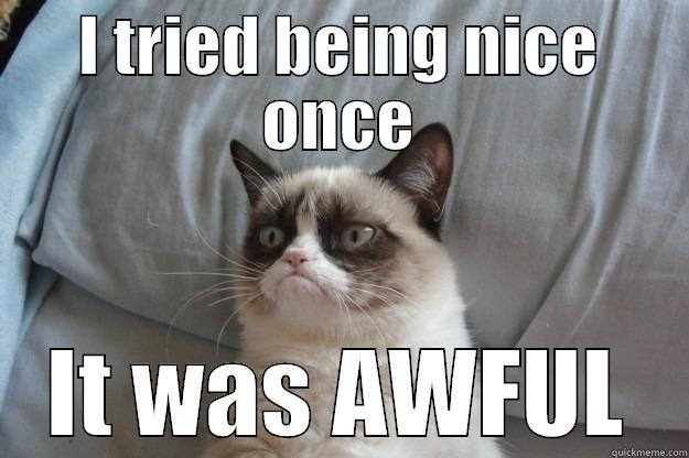 I TRIED BEING NICE ONCE IT WAS AWFUL Grumpy Cat