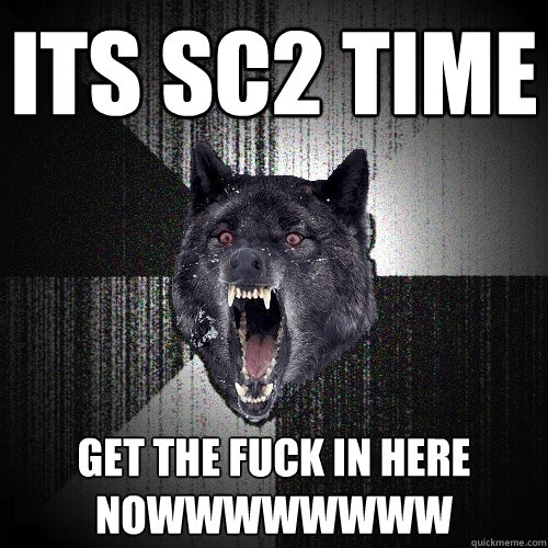 ITS SC2 TIME GET THE FUCK IN HERE NOWWWWWWWW  Insanity Wolf