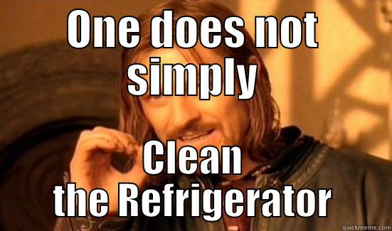 office boromir - ONE DOES NOT SIMPLY CLEAN THE REFRIGERATOR Boromir