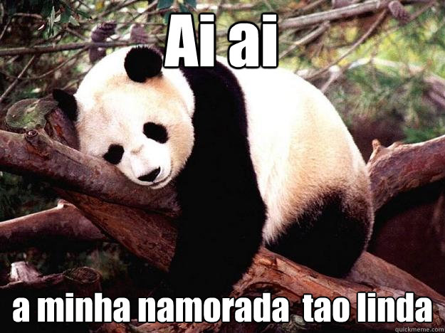 Ai ai a minha namorada é tao linda  Procrastination Panda