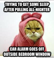 Trying to get some sleep after pulling all-nighter Car alarm goes off outside bedroom window - Trying to get some sleep after pulling all-nighter Car alarm goes off outside bedroom window  Misc