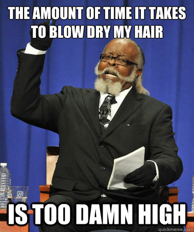 The amount of time it takes to blow dry my hair Is too damn high  The Rent Is Too Damn High