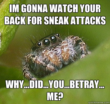 Im gonna watch your back for sneak attacks why...did...you...betray...me?  Misunderstood Spider