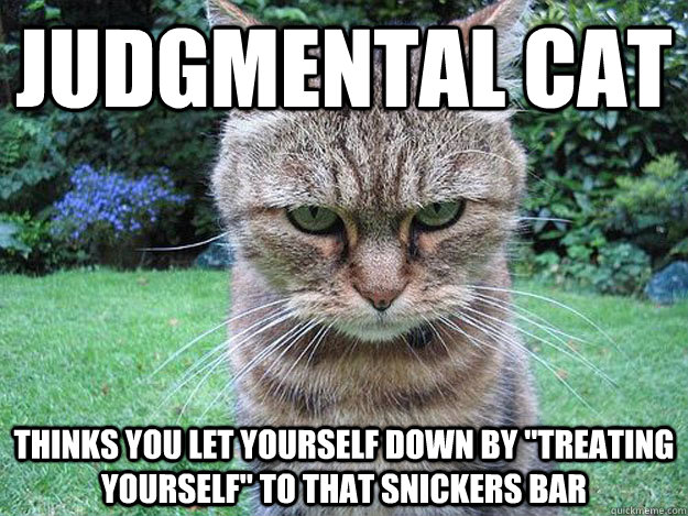 judgmental Cat thinks you let yourself down by 