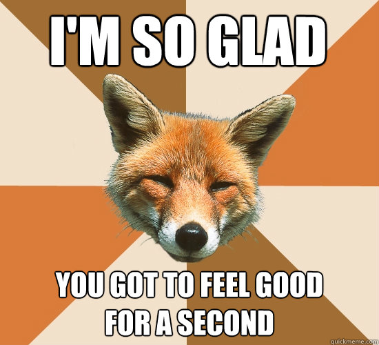 I'm so glad You got to feel good
for a second  Condescending Fox